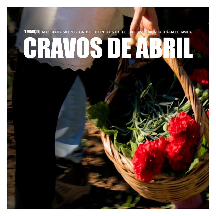 CARTAZ Cravos de Abril 2