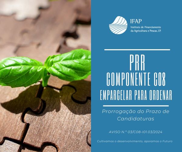 Emparcelar para Ordenar