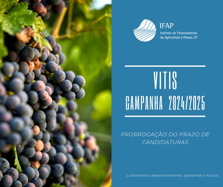 campanha vitis