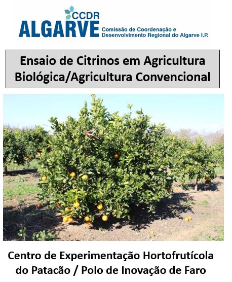 FOLHETO CITRINOS AB