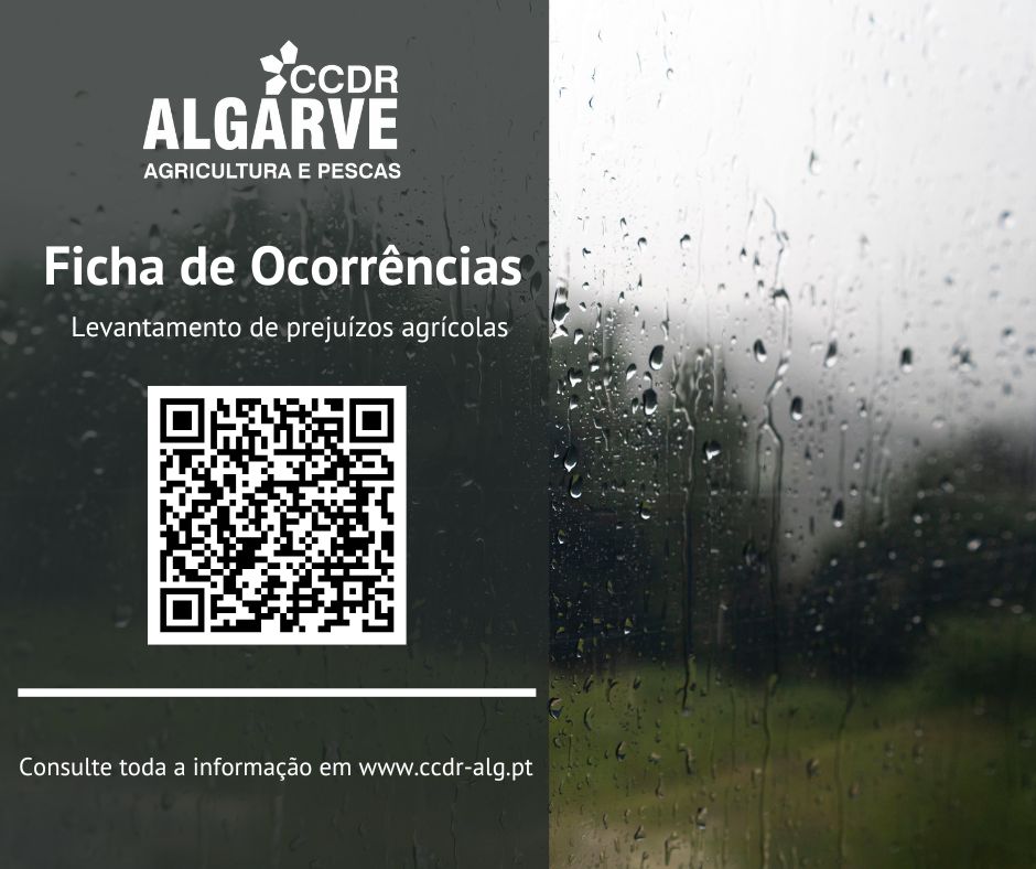 Ficha de ocorrências