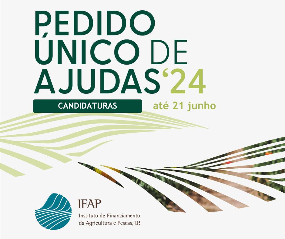 PU 24 JUNHO