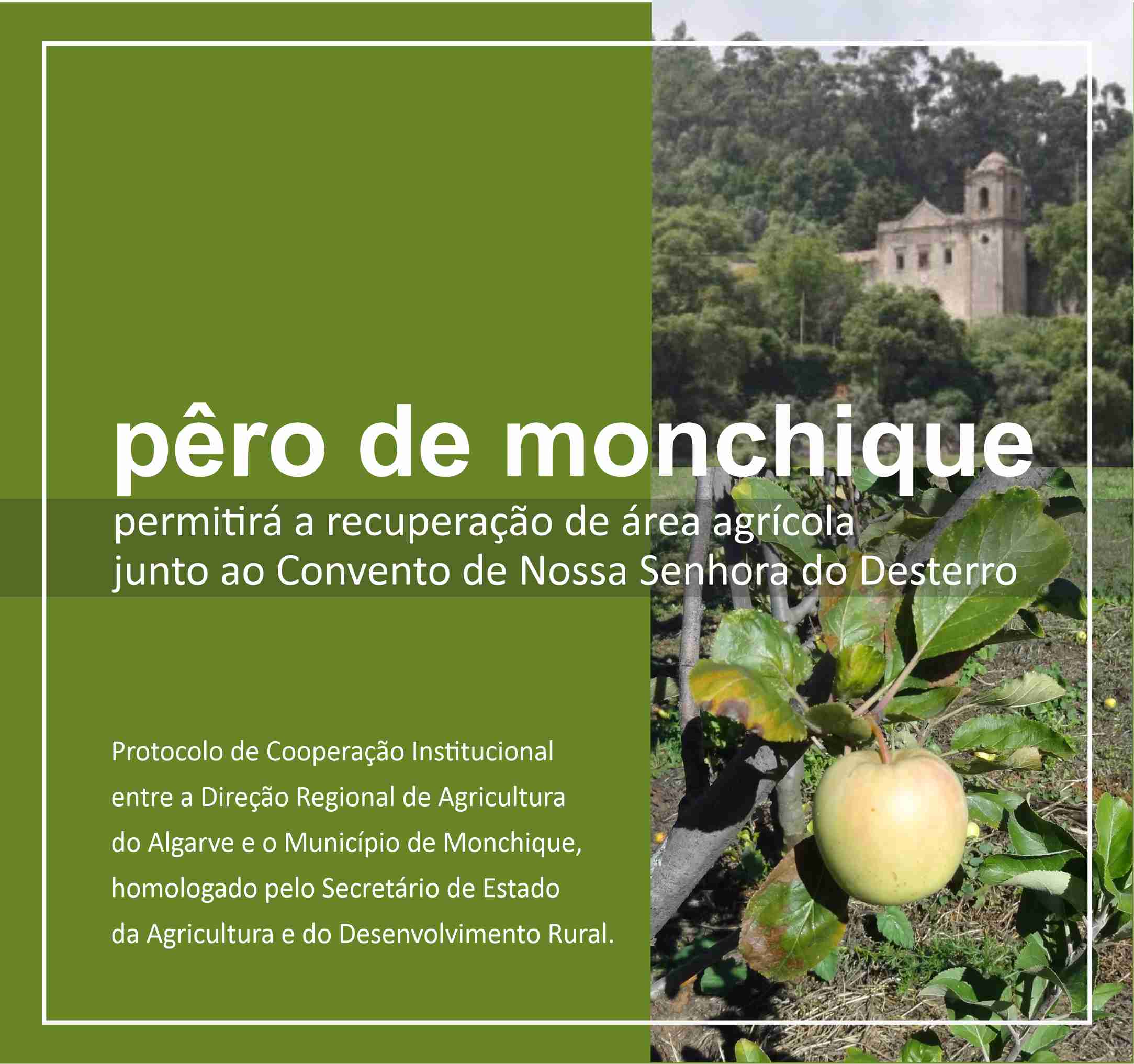 pêro monchique