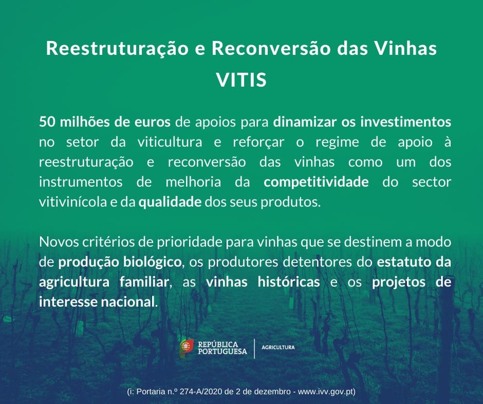 vitis