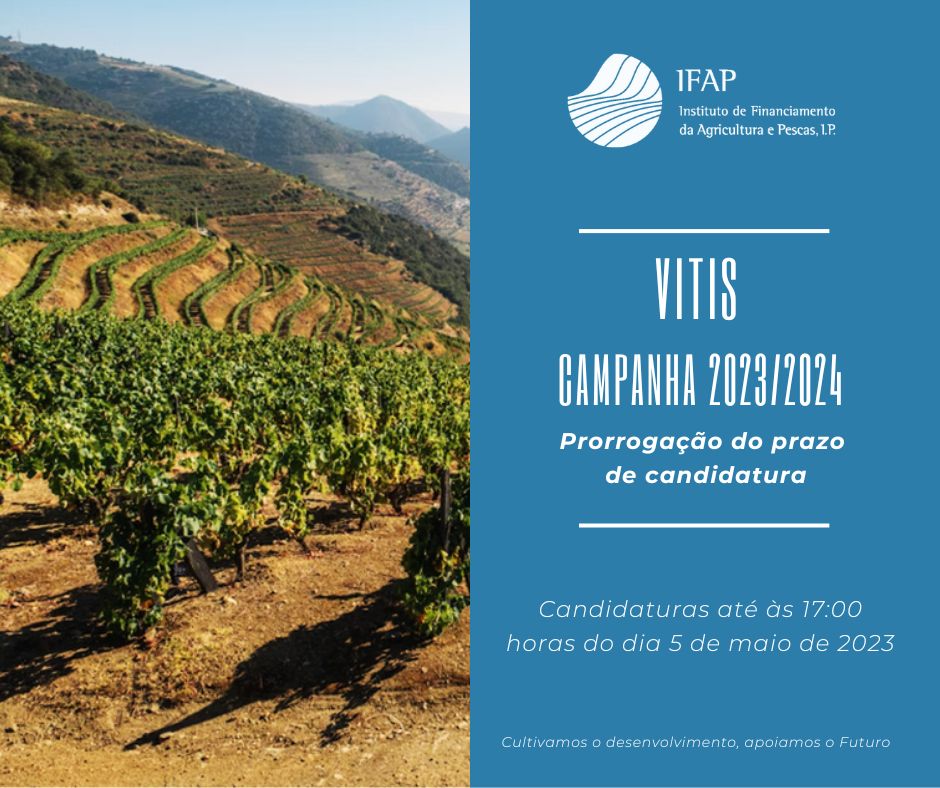 vitis2023