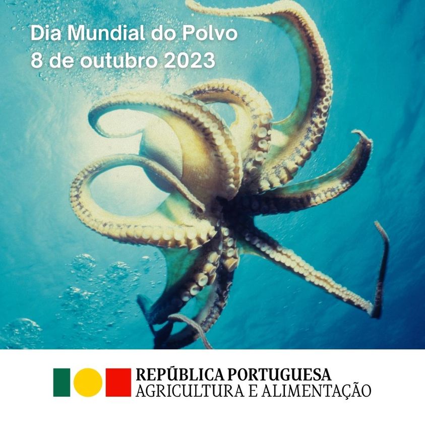 dia mundial do polvo