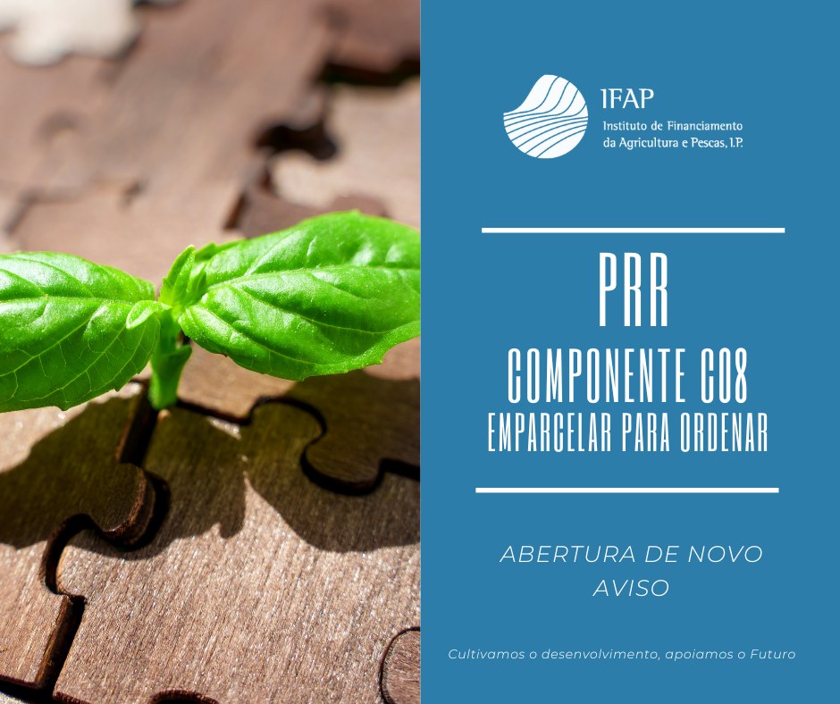 ifap aviso abertura