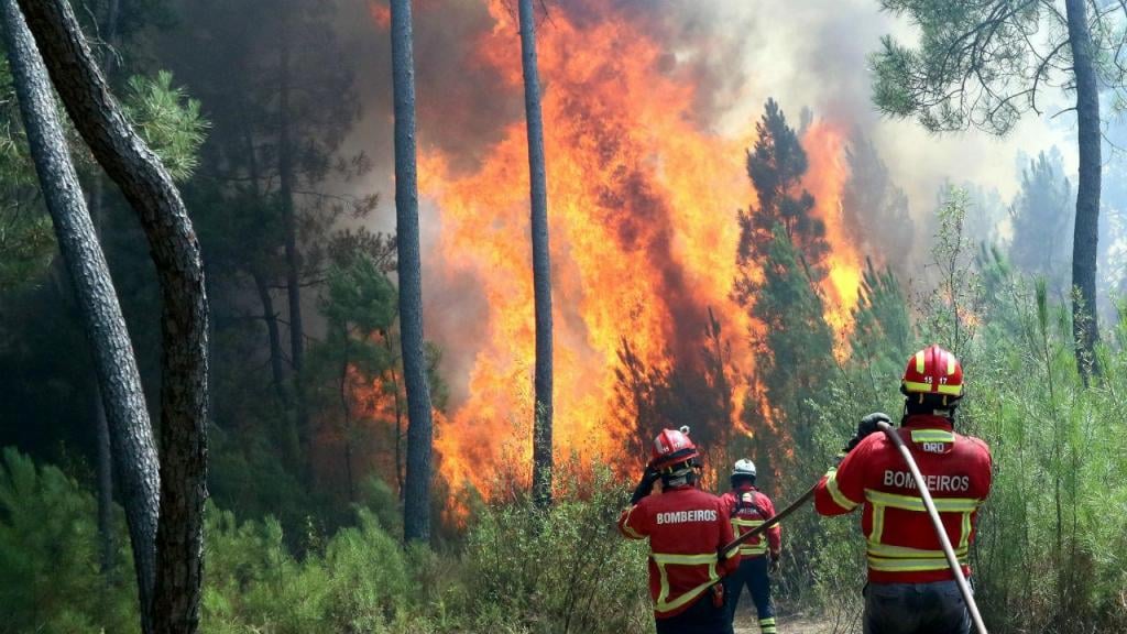 incêndios